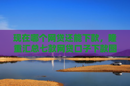 现在哪个网贷还能下款，隆重汇总七款网贷口子下款图