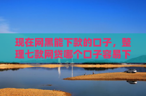 现在网黑能下款的口子，整理七款网贷哪个口子容易下款