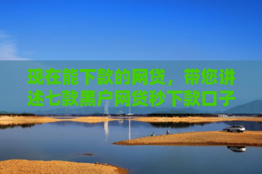 现在能下款的网贷，带您讲述七款黑户网贷秒下款口子