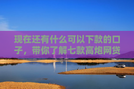 现在还有什么可以下款的口子，带你了解七款高炮网贷口子下款