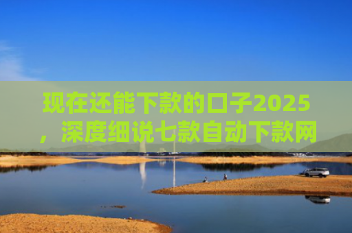 现在还能下款的口子2025，深度细说七款自动下款网贷口子