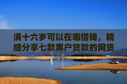 满十六岁可以在哪借钱，精细分享七款黑户贷款的网贷能下款吗