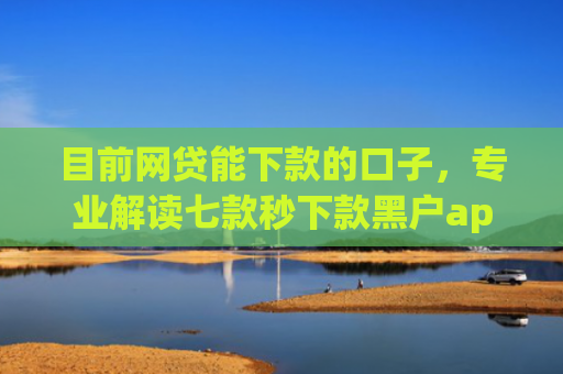 目前网贷能下款的口子，专业解读七款秒下款黑户app6
