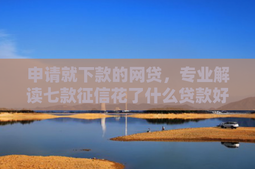 申请就下款的网贷，专业解读七款征信花了什么贷款好下款