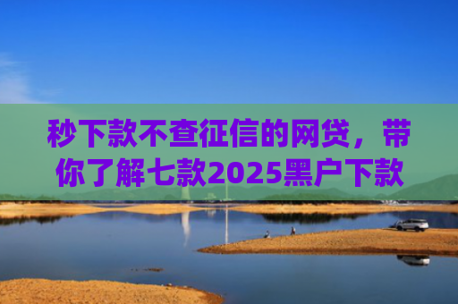 秒下款不查征信的网贷，带你了解七款2025黑户下款app