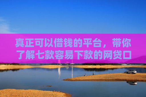 真正可以借钱的平台，带你了解七款容易下款的网贷口子高