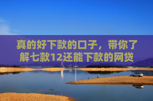 真的好下款的口子，带你了解七款12还能下款的网贷口子