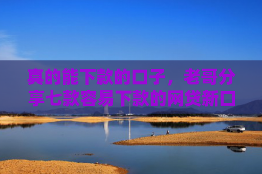 真的能下款的口子，老哥分享七款容易下款的网贷新口子