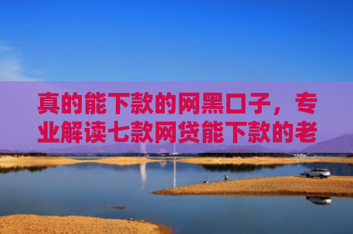 真的能下款的网黑口子，专业解读七款网贷能下款的老口子