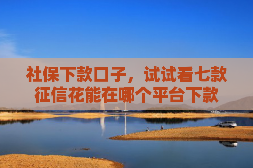 社保下款口子，试试看七款征信花能在哪个平台下款
