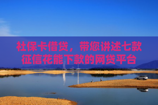 社保卡借贷，带您讲述七款征信花能下款的网贷平台