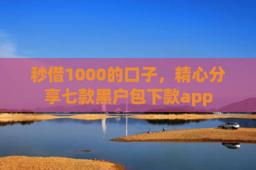 秒借1000的口子，精心分享七款黑户包下款app
