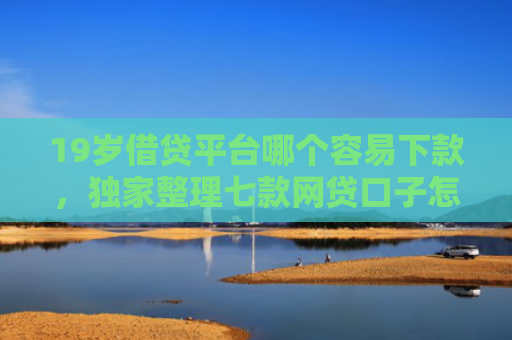 19岁借贷平台哪个容易下款，独家整理七款网贷口子怎样下款
