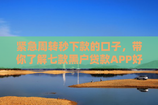 紧急周转秒下款的口子，带你了解七款黑户贷款APP好下款