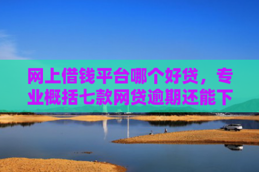 网上借钱平台哪个好贷，专业概括七款网贷逾期还能下款的口子