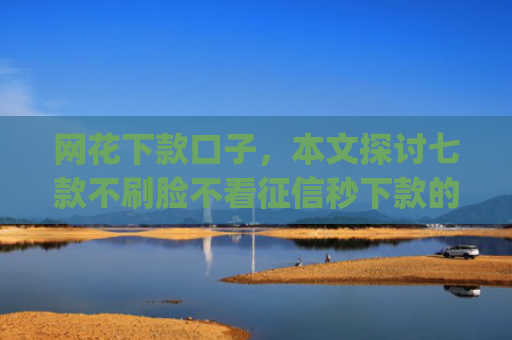 网花下款口子，本文探讨七款不刷脸不看征信秒下款的app