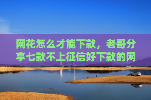 网花怎么才能下款，老哥分享七款不上征信好下款的网贷app