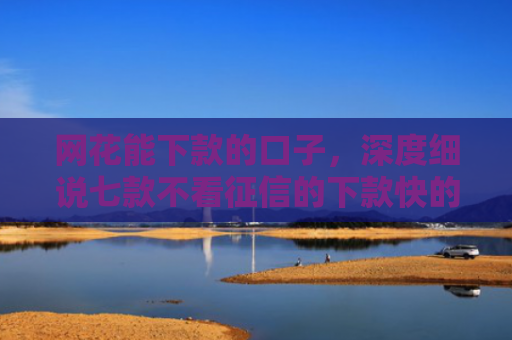 网花能下款的口子，深度细说七款不看征信的下款快的APP网贷