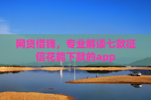 网贷借钱，专业解读七款征信花能下款的app