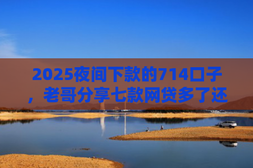 2025夜间下款的714口子，老哥分享七款网贷多了还能下款的口子