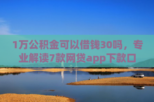 1万公积金可以借钱30吗，专业解读7款网贷app下款口子