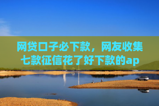 网贷口子必下款，网友收集七款征信花了好下款的app