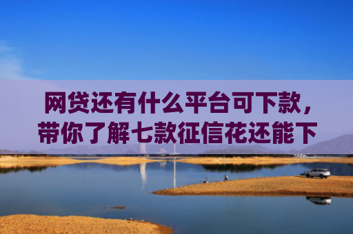 网贷还有什么平台可下款，带你了解七款征信花还能下款的app