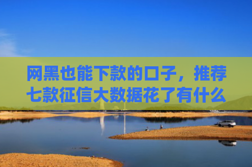 网黑也能下款的口子，推荐七款征信大数据花了有什么app能下款