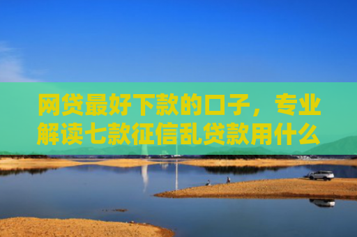 网贷最好下款的口子，专业解读七款征信乱贷款用什么APP下款快
