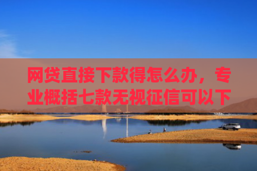 网贷直接下款得怎么办，专业概括七款无视征信可以下款的App贷款