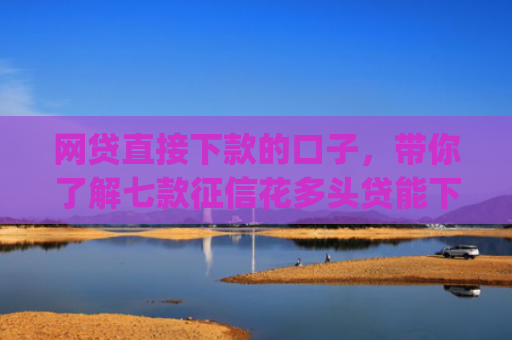 网贷直接下款的口子，带你了解七款征信花多头贷能下款的app