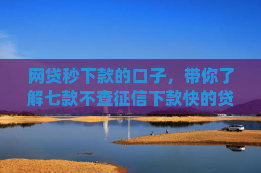 网贷秒下款的口子，带你了解七款不查征信下款快的贷款app