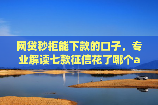 网贷秒拒能下款的口子，专业解读七款征信花了哪个app可以下款