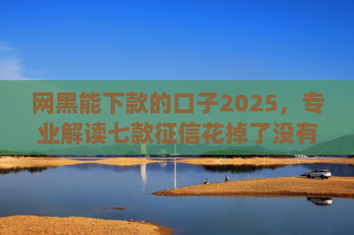 网黑能下款的口子2025，专业解读七款征信花掉了没有一家app下款