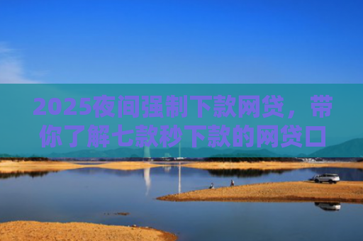2025夜间强制下款网贷，带你了解七款秒下款的网贷口子大全