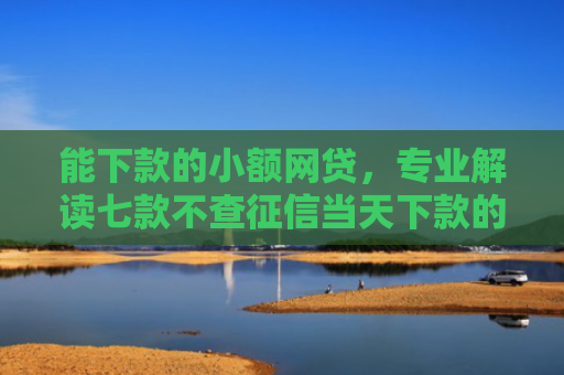 能下款的小额网贷，专业解读七款不查征信当天下款的平台