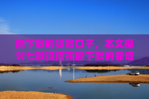 能下款的贷款口子，本文探讨七款征信花能下款的靠谱网贷