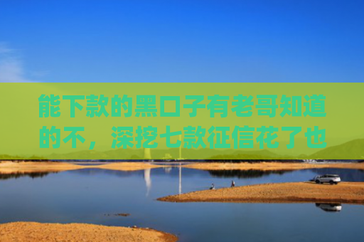 能下款的黑口子有老哥知道的不，深挖七款征信花了也能下款的网贷app