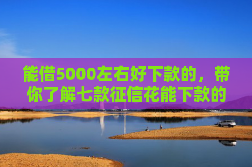 能借5000左右好下款的，带你了解七款征信花能下款的大额网贷