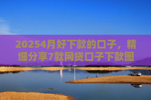 20254月好下款的口子，精细分享7款网贷口子下款图片