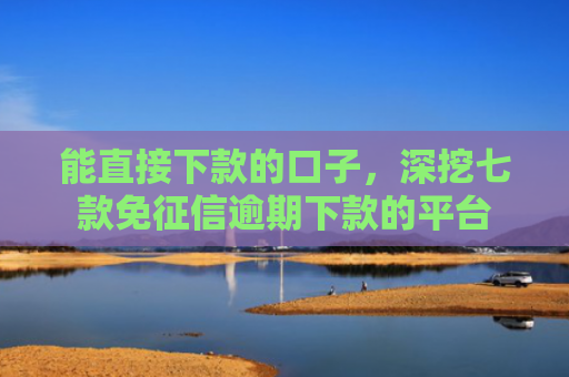 能直接下款的口子，深挖七款免征信逾期下款的平台