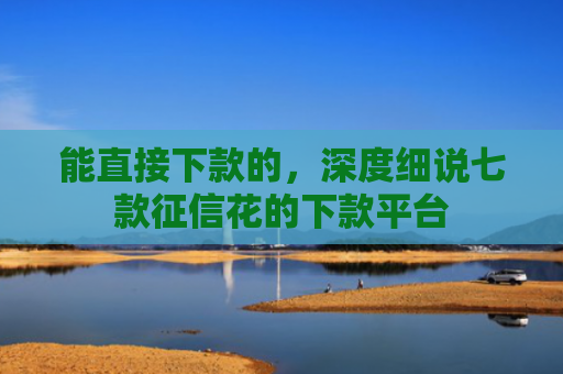 能直接下款的，深度细说七款征信花的下款平台