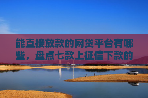 能直接放款的网贷平台有哪些，盘点七款上征信下款的平台