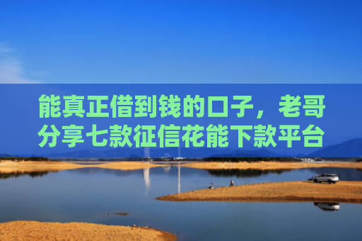 能真正借到钱的口子，老哥分享七款征信花能下款平台