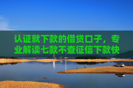 认证就下款的借贷口子，专业解读七款不查征信下款快的平台