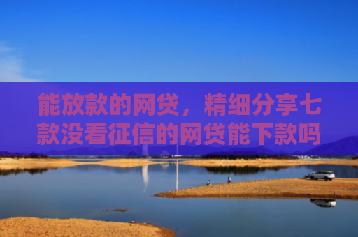 能放款的网贷，精细分享七款没看征信的网贷能下款吗