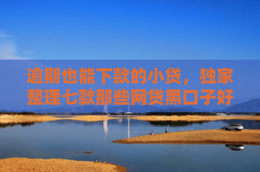 逾期也能下款的小贷，独家整理七款那些网贷黑口子好下款