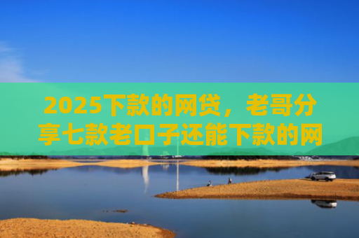 2025下款的网贷，老哥分享七款老口子还能下款的网贷
