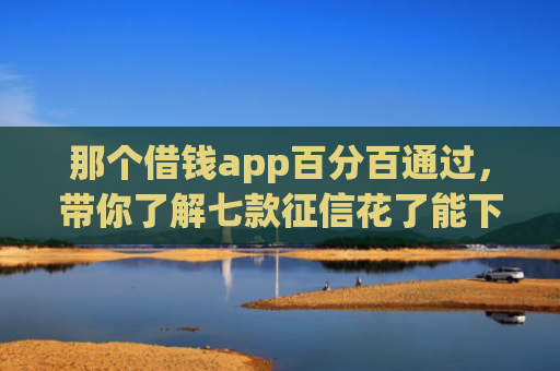那个借钱app百分百通过，带你了解七款征信花了能下款的9网贷