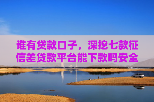 谁有贷款口子，深挖七款征信差贷款平台能下款吗安全吗